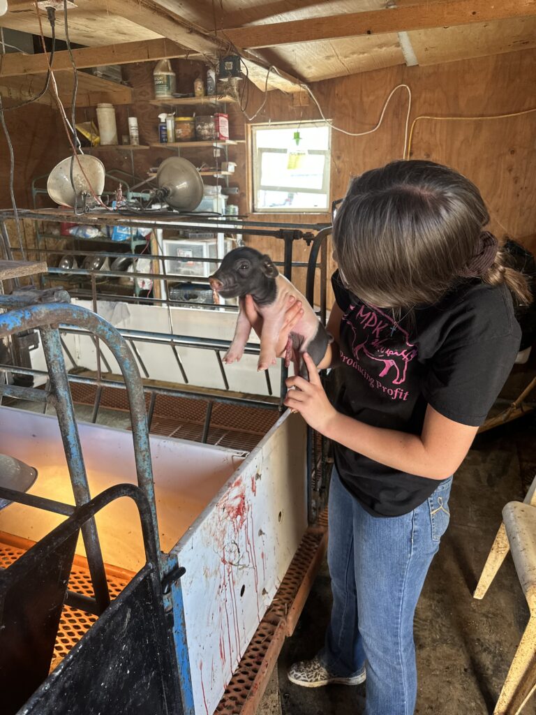 Student is holding a pig